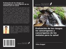 Bookcover of Evaluación de los riesgos no cancerígenos y cancerígenos de los metales para la salud