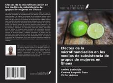 Efectos de la microfinanciación en los medios de subsistencia de grupos de mujeres en Ghana kitap kapağı