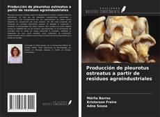 Producción de pleurotus ostreatus a partir de residuos agroindustriales kitap kapağı
