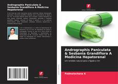 Обложка Andrographis Paniculata & Sesbania Grandiflora A Medicina Hepatorenal