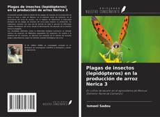 Plagas de insectos (lepidópteros) en la producción de arroz Nerica 3 kitap kapağı