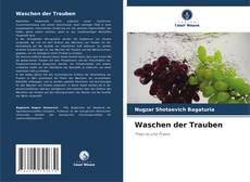 Capa do livro de Waschen der Trauben 
