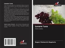 Buchcover von Lavare l'uva