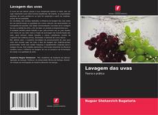 Обложка Lavagem das uvas