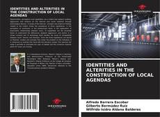 Обложка IDENTITIES AND ALTERITIES IN THE CONSTRUCTION OF LOCAL AGENDAS
