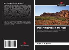 Couverture de Desertification in Morocco