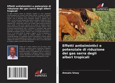 Portada del libro de Effetti antielmintici e potenziale di riduzione dei gas serra degli alberi tropicali