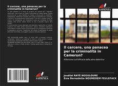 Buchcover von Il carcere, una panacea per la criminalità in Camerun?