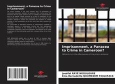 Imprisonment, a Panacea to Crime in Cameroon? kitap kapağı