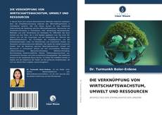 Capa do livro de DIE VERKNÜPFUNG VON WIRTSCHAFTSWACHSTUM, UMWELT UND RESSOURCEN 