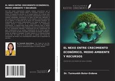 Buchcover von EL NEXO ENTRE CRECIMIENTO ECONÓMICO, MEDIO AMBIENTE Y RECURSOS