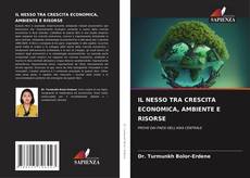 Couverture de IL NESSO TRA CRESCITA ECONOMICA, AMBIENTE E RISORSE