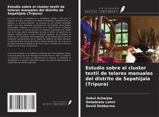 Copertina di Estudio sobre el cluster textil de telares manuales del distrito de Sepahijala (Tripura)