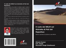 Couverture de Il ruolo del NRLM nel distretto di Pali del Rajasthan