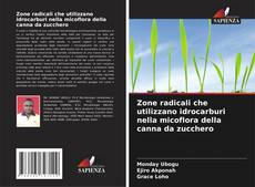 Capa do livro de Zone radicali che utilizzano idrocarburi nella micoflora della canna da zucchero 