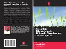 Обложка Zonas Raiz Hidrocarboneto Utilizando Mycoflora de Cana de Açúcar