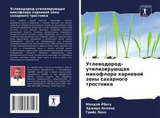 Buchcover von Углеводород-утилизирующая микофлора корневой зоны сахарного тростника