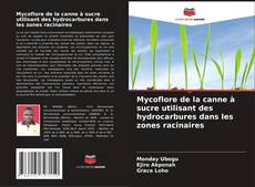 Capa do livro de Mycoflore de la canne à sucre utilisant des hydrocarbures dans les zones racinaires 