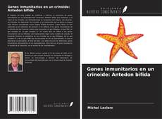 Bookcover of Genes inmunitarios en un crinoide: Antedon bifida