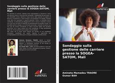 Buchcover von Sondaggio sulla gestione delle carriere presso la SOGEA-SATOM, Mali