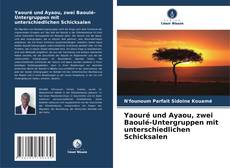 Yaouré und Ayaou, zwei Baoulé-Untergruppen mit unterschiedlichen Schicksalen的封面