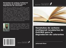 Bookcover of Nanotubos de carbono multipared recubiertos de ZnO/NiO para la degradación de colorantes