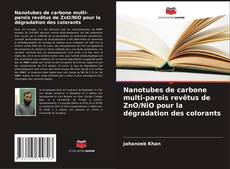 Portada del libro de Nanotubes de carbone multi-parois revêtus de ZnO/NiO pour la dégradation des colorants