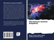 Buchcover von Обучающая машина DeepMind