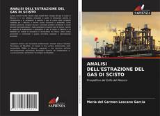 Couverture de ANALISI DELL'ESTRAZIONE DEL GAS DI SCISTO