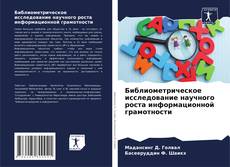 Bookcover of Библиометрическое исследование научного роста информационной грамотности