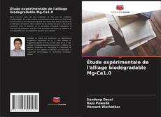 Capa do livro de Étude expérimentale de l'alliage biodégradable Mg-Ca1.0 