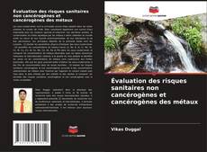 Buchcover von Évaluation des risques sanitaires non cancérogènes et cancérogènes des métaux