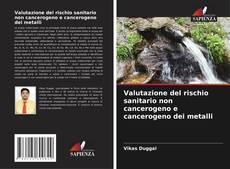 Portada del libro de Valutazione del rischio sanitario non cancerogeno e cancerogeno dei metalli