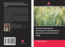 Обложка Manejo Integrado de Nutrientes no Rendimento e Absorção de Nutrientes do Trigo