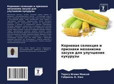 Portada del libro de Корневая селекция и признаки механизма засухи для улучшения кукурузы