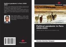 Buchcover von Political pandemic in Peru 2020-2023