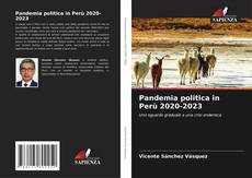 Bookcover of Pandemia politica in Perù 2020-2023