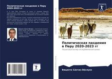 Capa do livro de Политическая пандемия в Перу 2020-2023 гг 