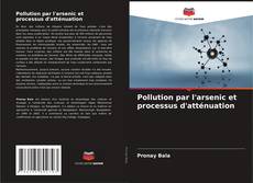Capa do livro de Pollution par l'arsenic et processus d'atténuation 