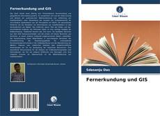 Buchcover von Fernerkundung und GIS