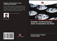 Portada del libro de Doppler multivaisseaux dans l'évaluation du RCIU