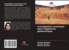 Buchcover von Investigation numérique dans l'ingénierie géotechnique