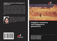 Copertina di Indagine numerica nell'ingegneria geotecnica