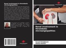 Borítókép a  Renal involvement in thrombotic microangiopathies - hoz