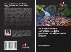 Una valutazione sull'efficacia della gestione dei rifiuti solidi urbani kitap kapağı