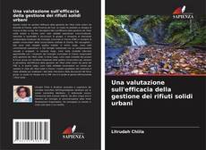 Capa do livro de Una valutazione sull'efficacia della gestione dei rifiuti solidi urbani 