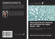 Bookcover of (Re)organización espacial del municipio de Lagoa Santa - MG