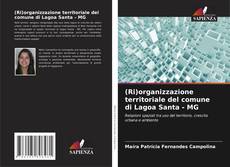 Bookcover of (Ri)organizzazione territoriale del comune di Lagoa Santa - MG