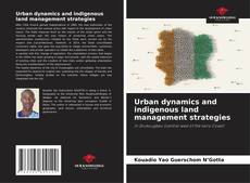 Urban dynamics and indigenous land management strategies kitap kapağı
