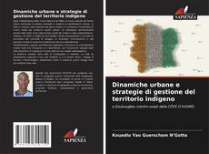 Capa do livro de Dinamiche urbane e strategie di gestione del territorio indigeno 